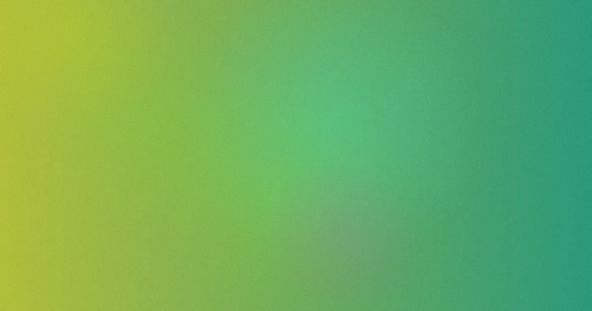校园小说青梅竹马推荐：新手选书法